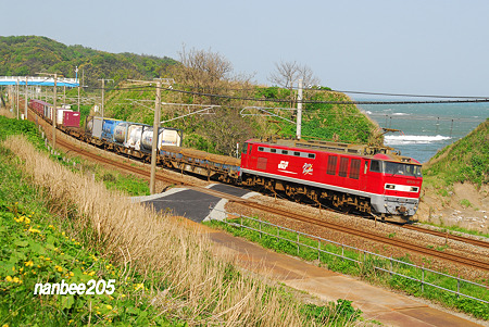 95ﾚ　EF510-17+ｺｷ　＠青海川～鯨波　　　0514-180