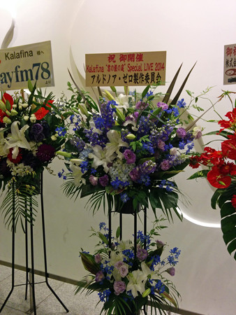 IMG_20140626_215005_edited-1