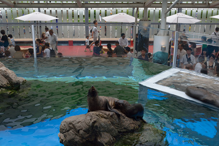 20140816 京都水族館&大 0033