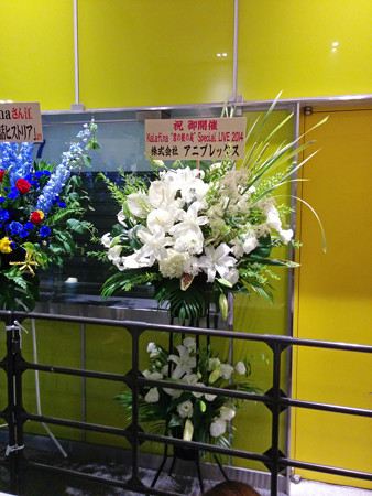 IMG_20140626_215111_edited-1