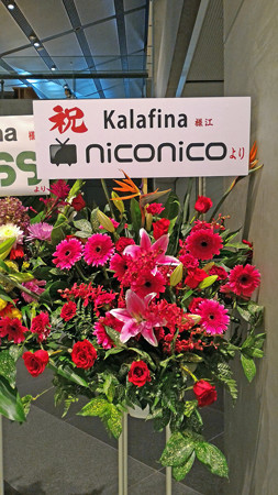 P_20151011_141111_edited-1