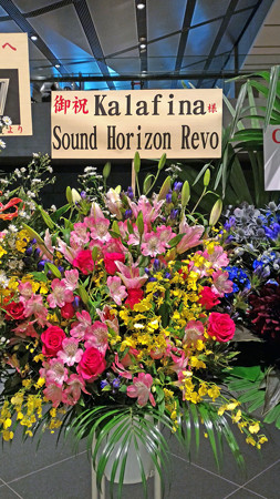 P_20151011_141141_edited-1