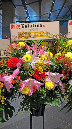 P_20151011_141154_edited-1