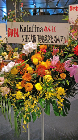 P_20151011_141201_edited-1