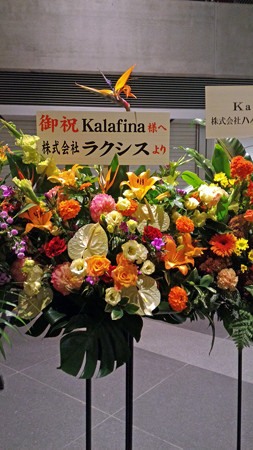 P_20151011_184134_edited-1