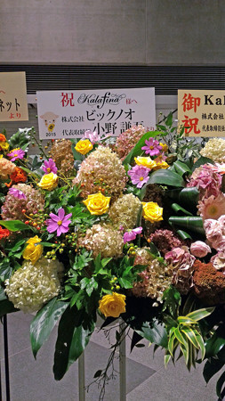 P_20151011_184144_edited-1