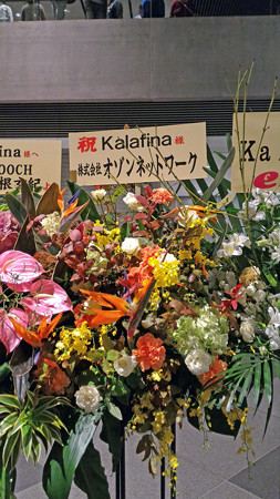 P_20151011_184158_edited-1