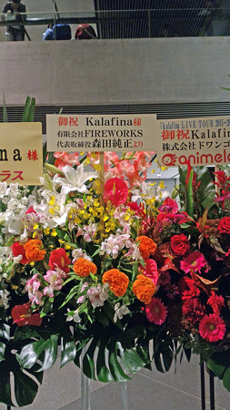 P_20151011_184210_edited-1