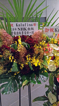 P_20151011_184219_edited-1