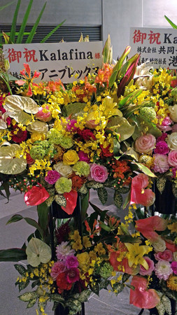 P_20151011_184224_edited-1