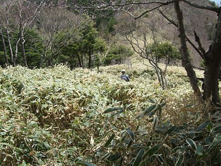 DSCF0778