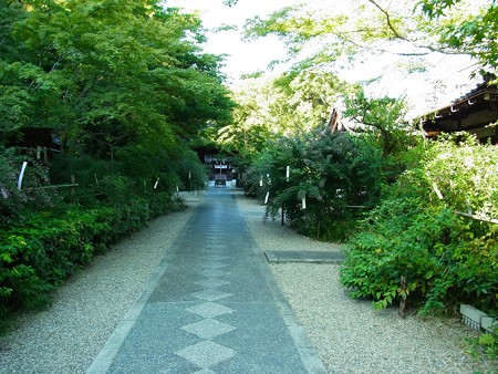 梨木神社