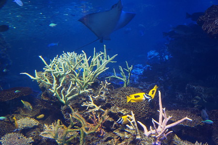 京都水族館