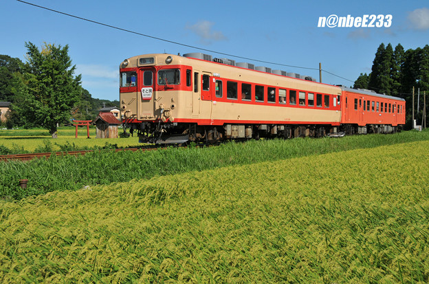 8 17 小湊鉄道 いすみ鉄道 ５ 最後は 小谷松 大多喜 なんびーの週末鉄 別館