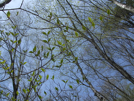 DSCF0665