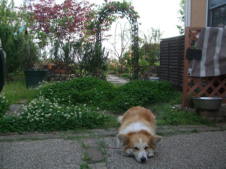 DSCF0807