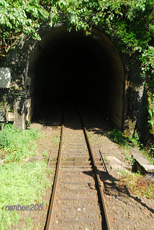草木トンネルへ