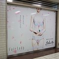 東京広告なび,*2009_1231_DSCF4207