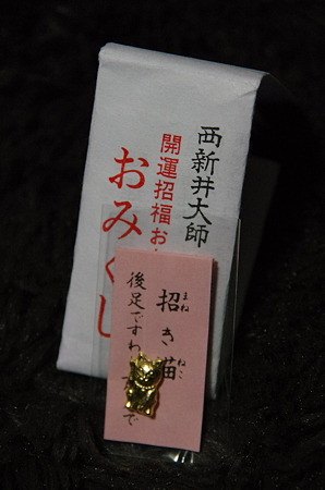 IMGP7067