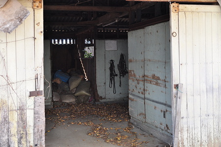 ここに馬たちが・・・