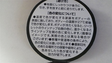 P1001271