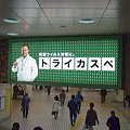 東京広告なび,*2009_1231_DSCF4216