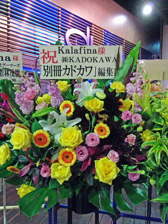 IMG_20150123_172244_edited-1