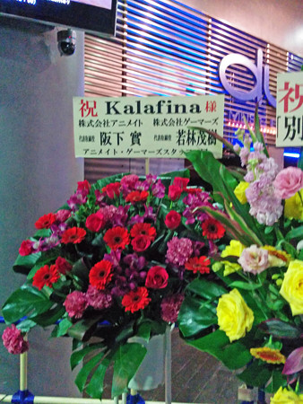 IMG_20150123_172247_edited-1