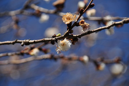 何か形が変・・・