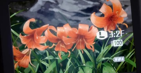 ヤマノススメ2-23-6