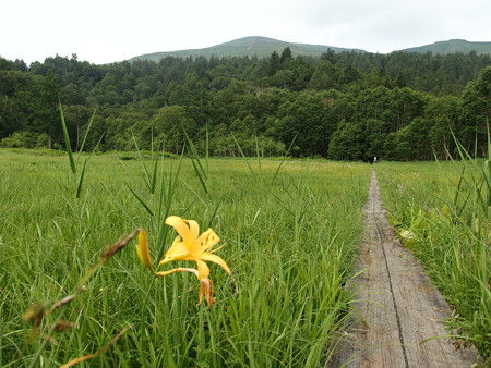 P7230299