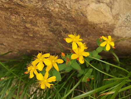 P7230322
