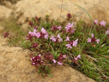P7230342