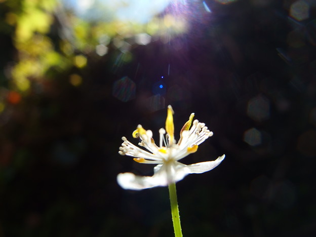 P6030355
