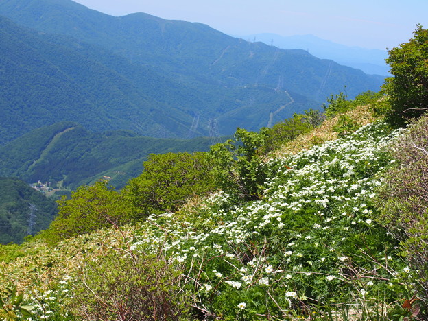 P6031975