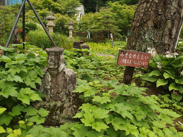 P7020403
