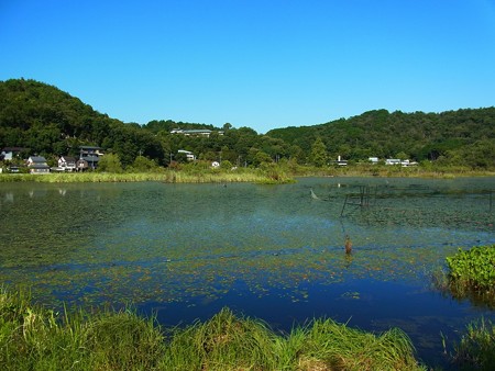 深泥池