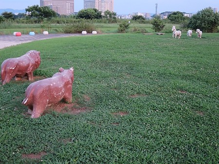 淀川河川敷公園11