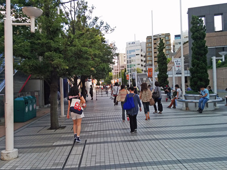 IMG_20140626_165835_edited-1