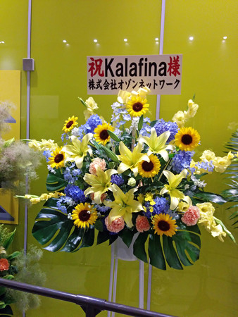 IMG_20140626_215054_edited-1