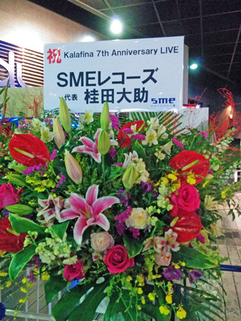 IMG_20150123_172231_edited-1