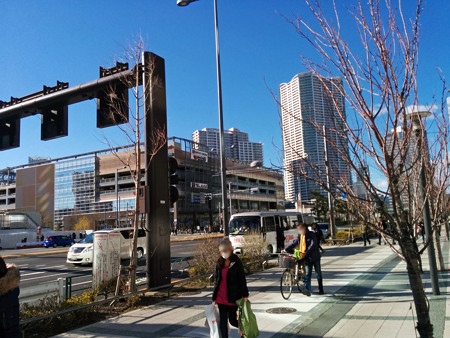 IMG_20150131_141413_edited-1