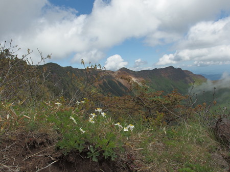 P6230217