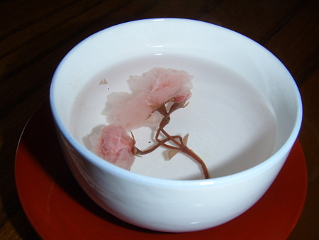 P7053262