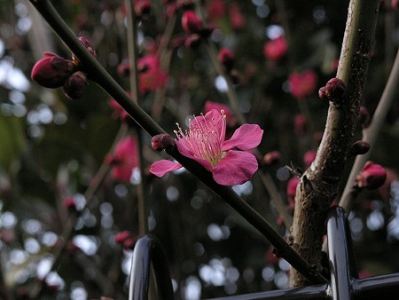 P3022746