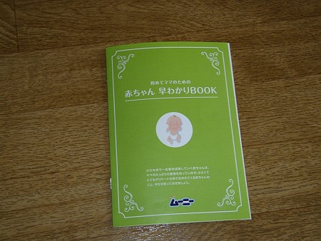 P3152507
