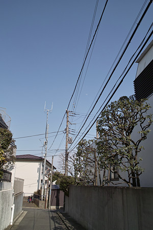 SDIM0137