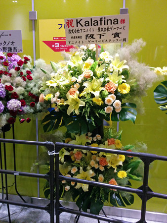 IMG_20140626_215059_edited-1