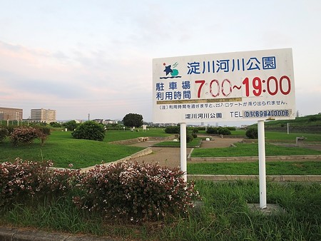 淀川河川敷公園5