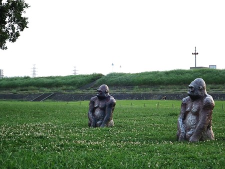 淀川河川敷公園14